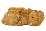 Rough Colombian Copal (Young Amber) #135237-1